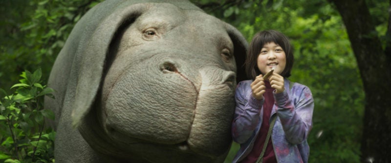 saddest movies on netflix - okja