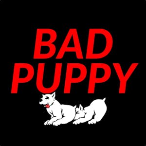 Bad puppy