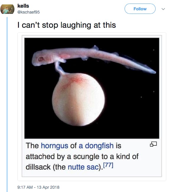 [Photo of weird-looking fish] The horngus of a dongfish is attached by a scungle to a kind of dillsack (the nutte sac).