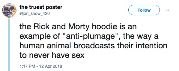 the Rick and Morty hoodie is an example of 'anti-plumage', the way a human animal broadcasts their intention to never have sex
