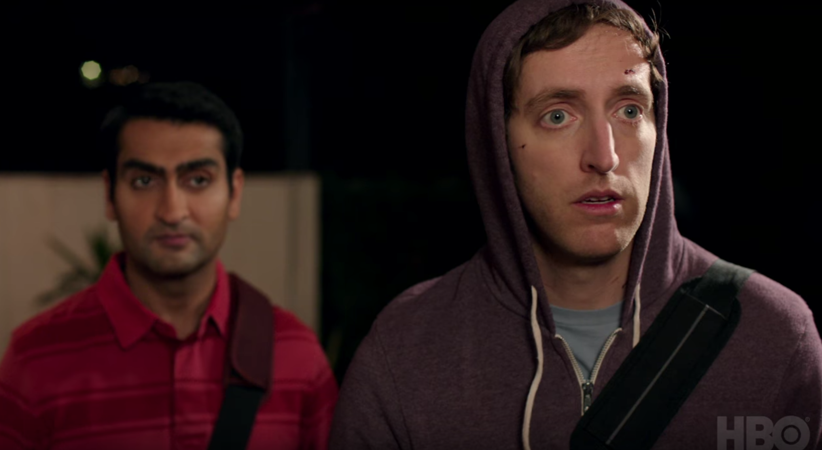 Silicon Valley: Season 5 review