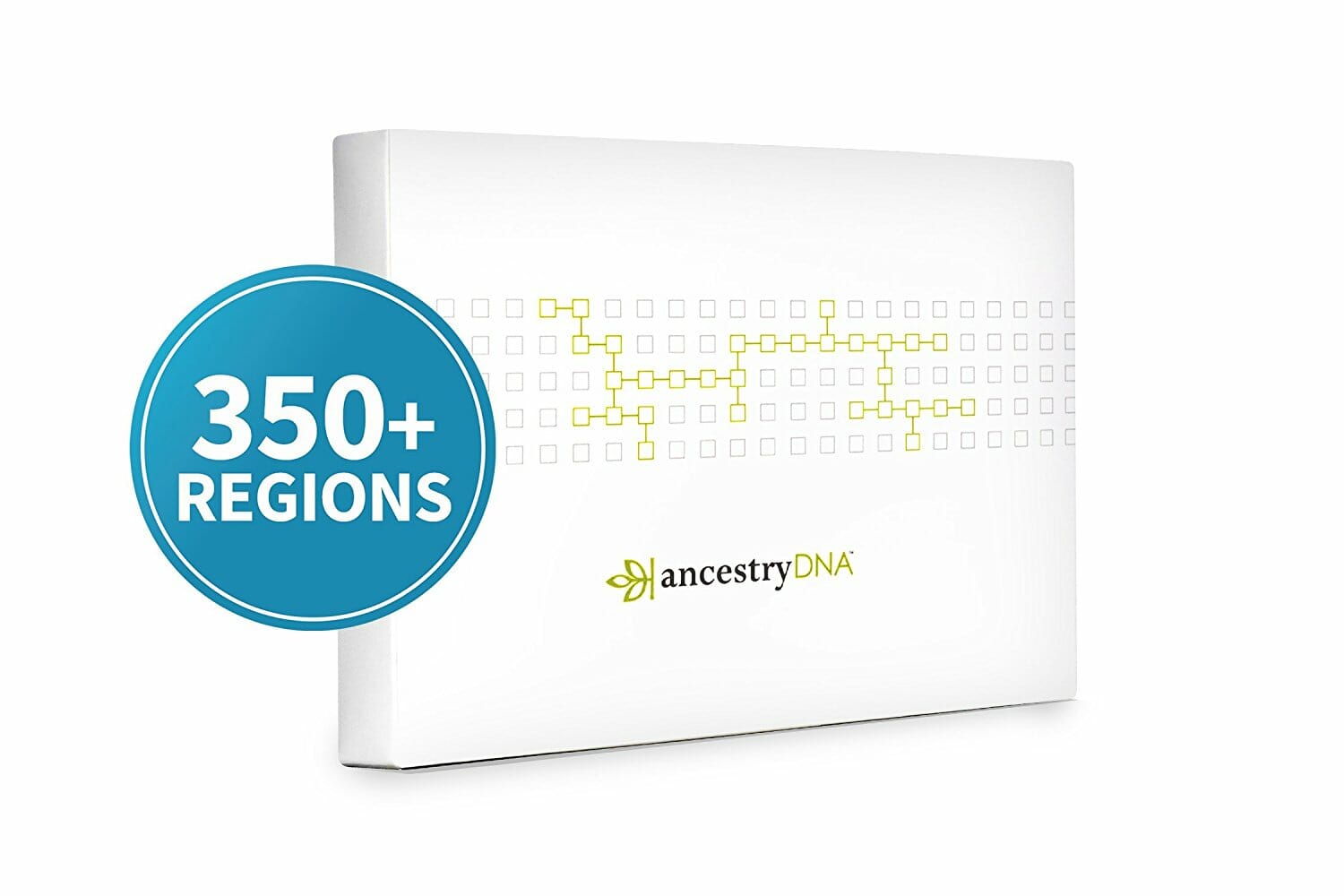 at-home dna test kit