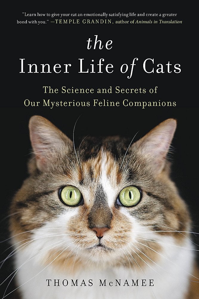 cat books
