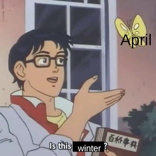 April winter butterfly meme