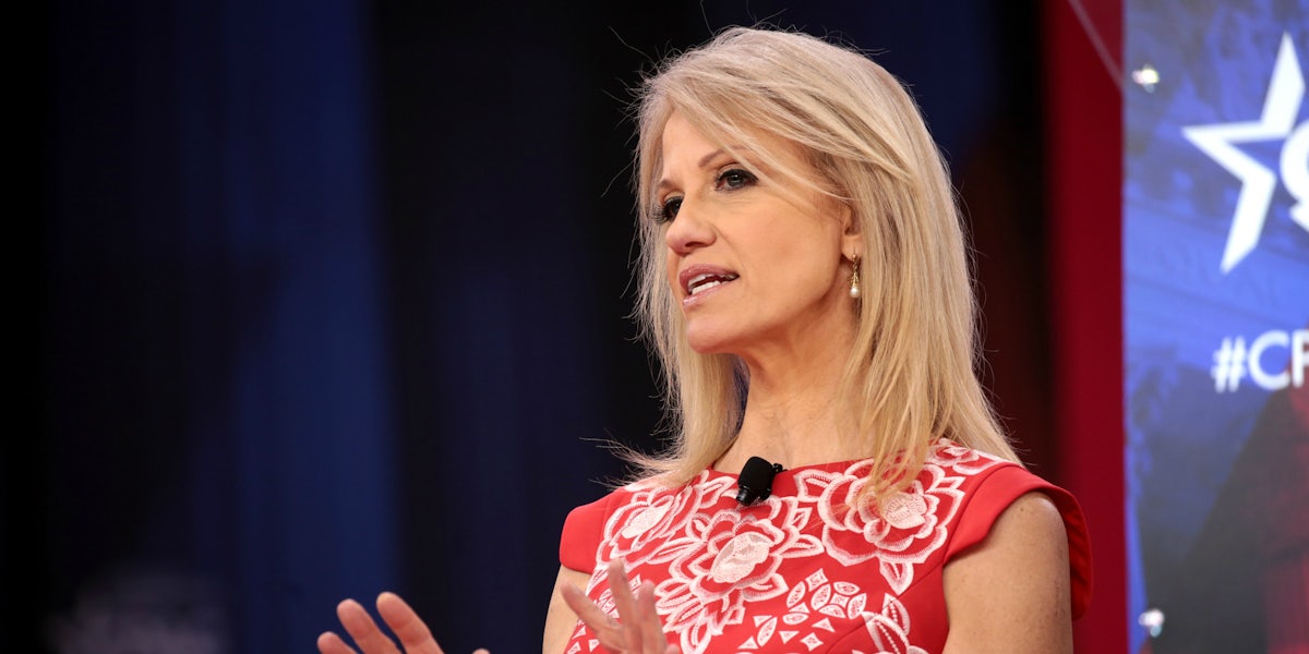 The author of a new book claims that Kellyanne Conway is the 'number one leaker' in President Donald Trump's administration.