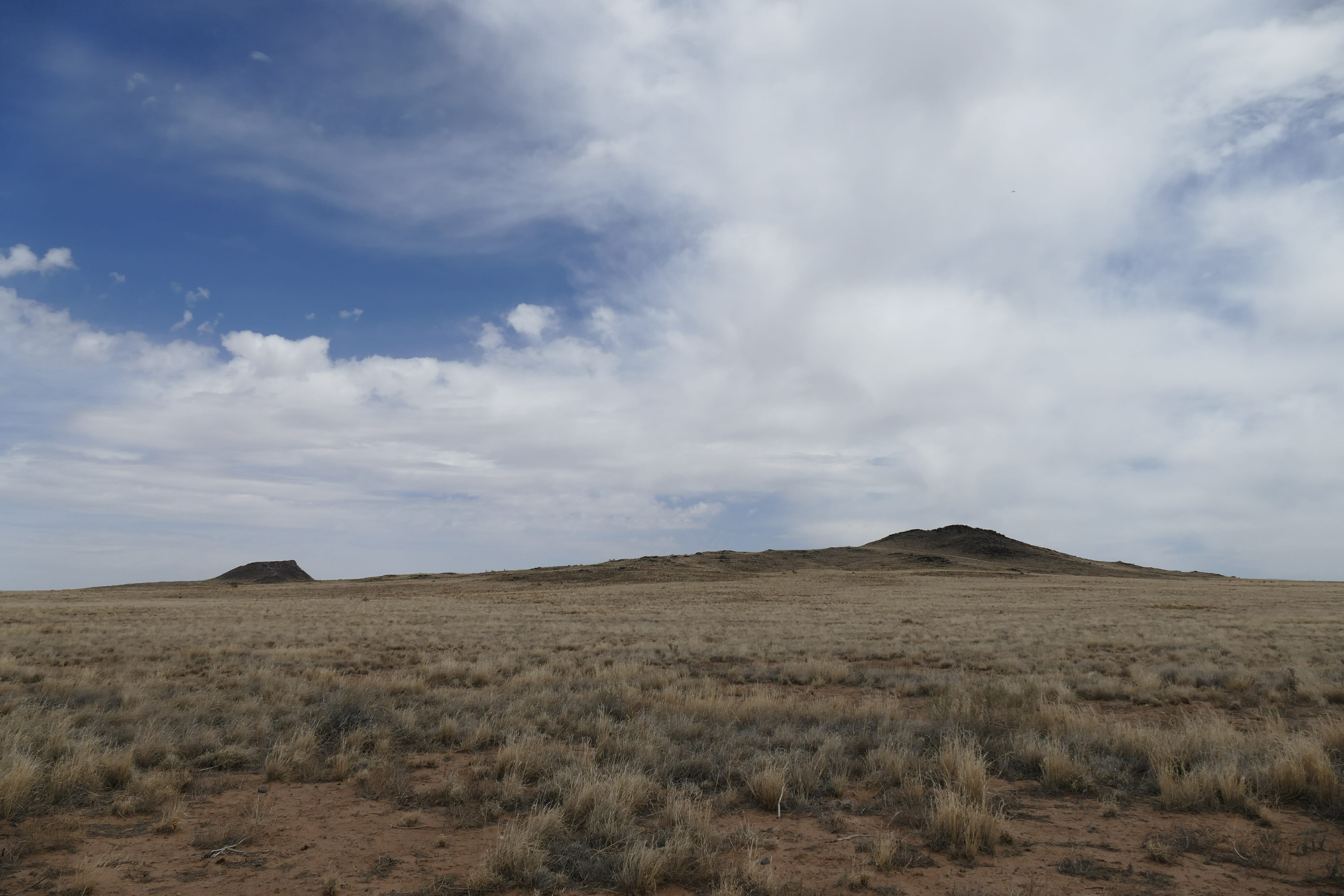 Petroglyph National Monument