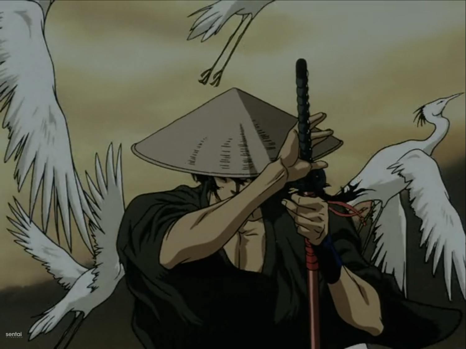 best anime movies : ninja scroll