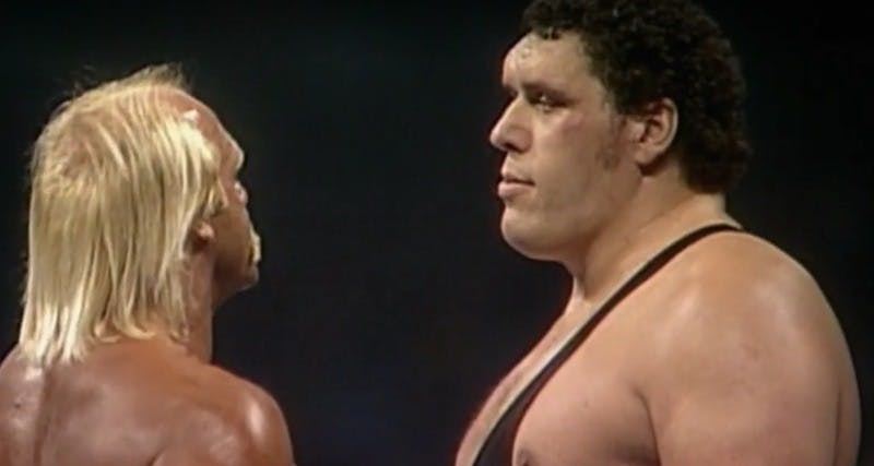 Andre the Giant Hulk Hogan