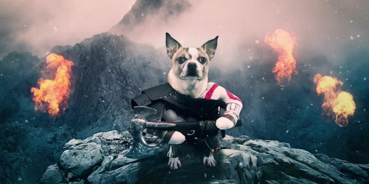 Dog of War Advertisement