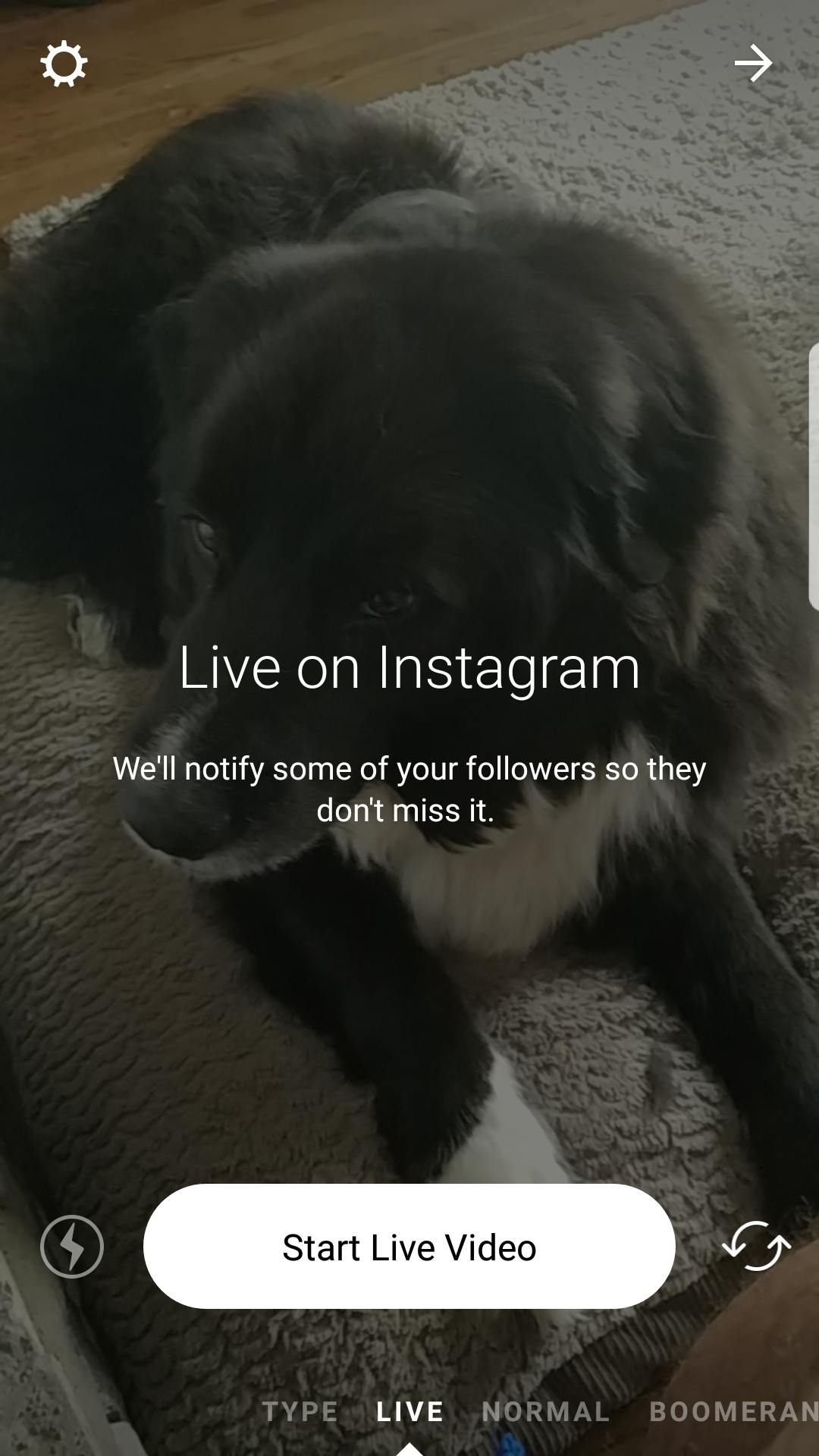 instagram video live