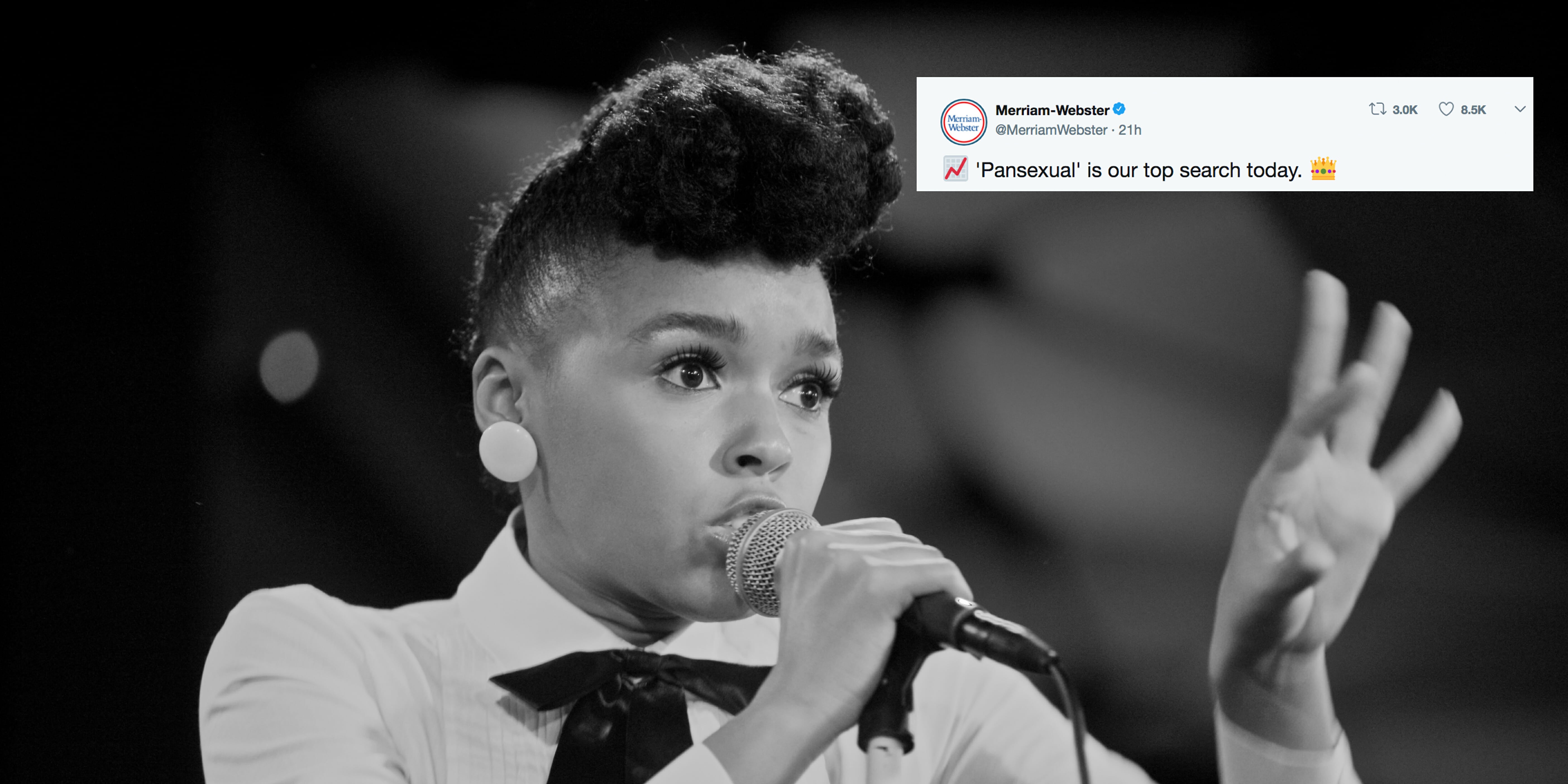 janelle monae pansexual