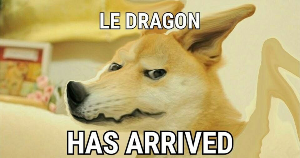 le dragon doge