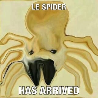 le spider doge meme