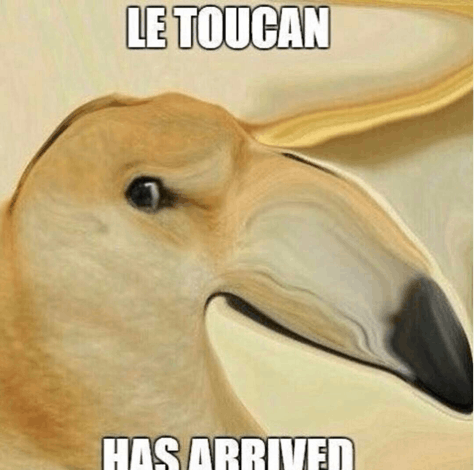 le toucan doge