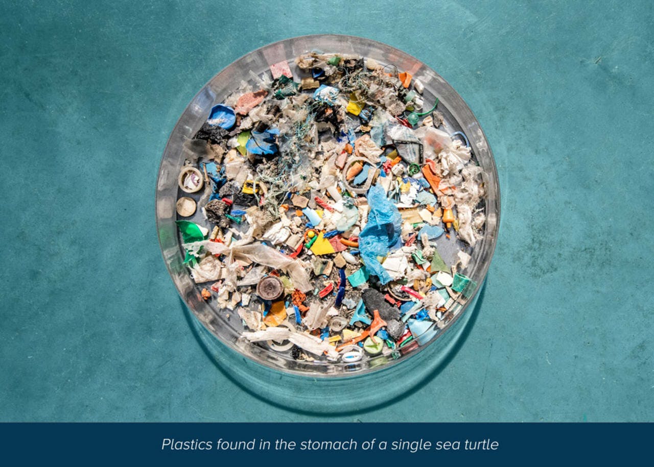the ocean cleanup plastic removal