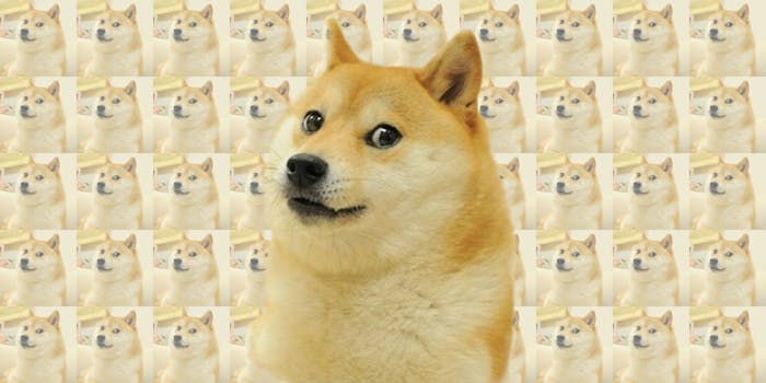 The Doge Meme Is Back And This Time It S Liquified