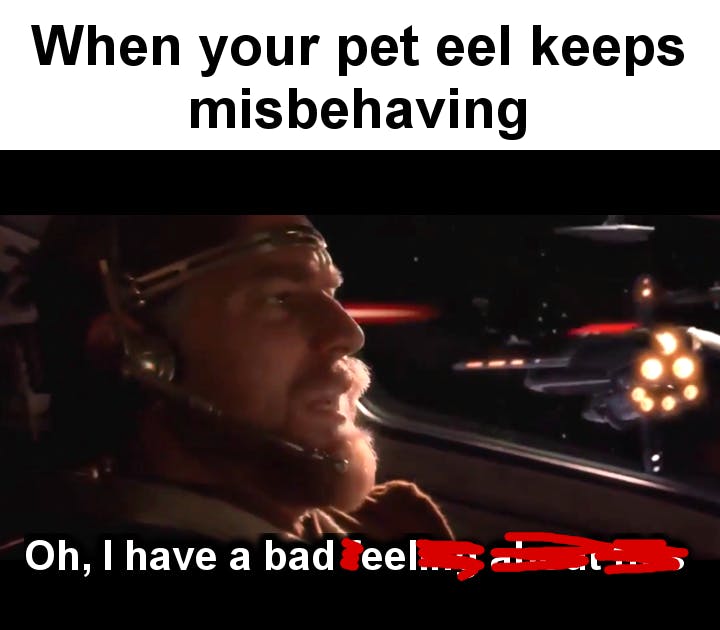 pet eel star wars prequel meme obi-wan