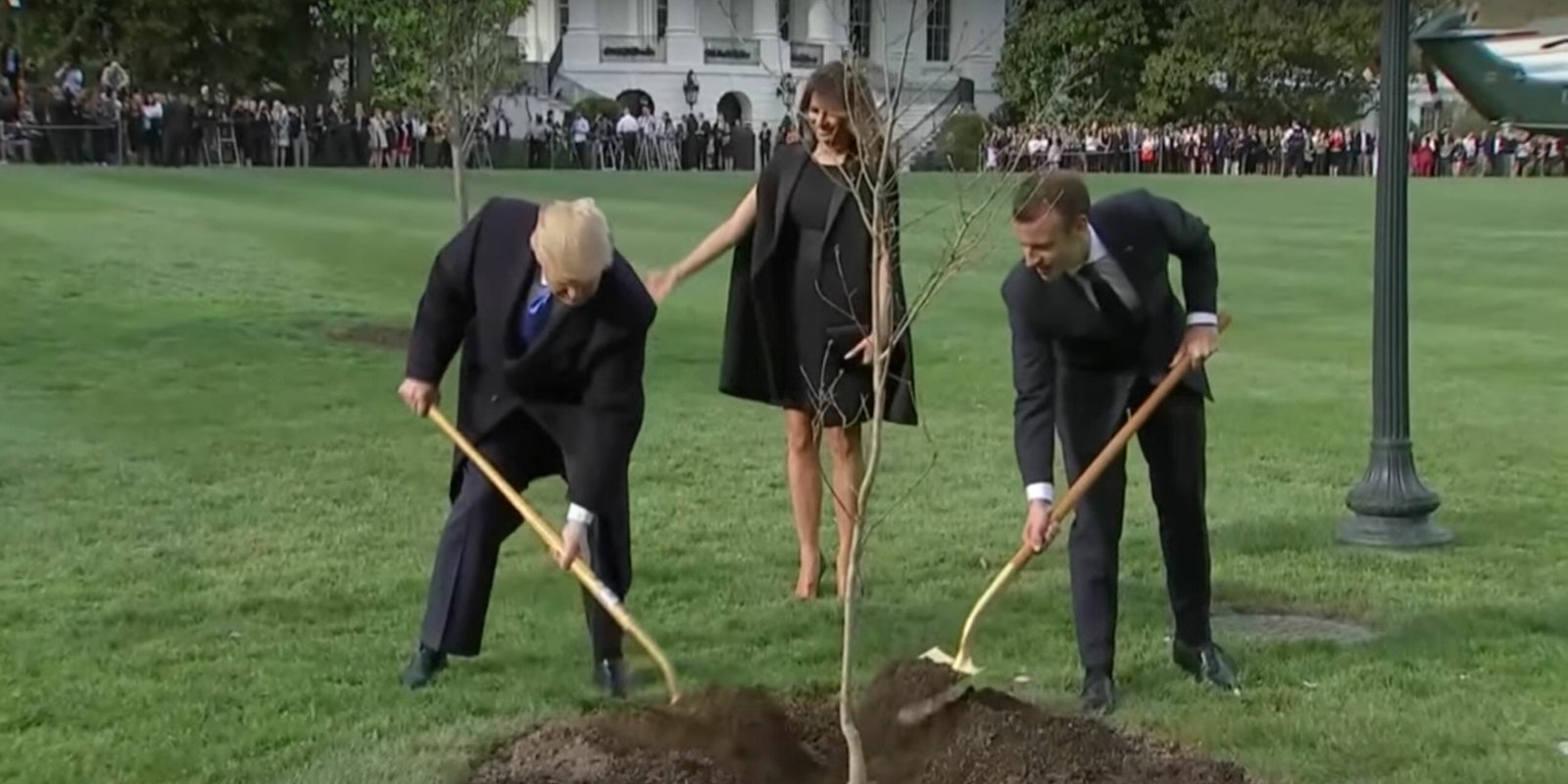 A photo of President Donald Trump and French President Emmanuel Macron shoveling dirt onto a tree quickly became a meme.