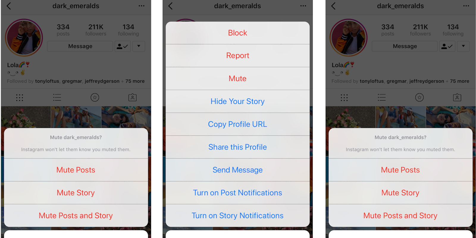 how to mute someone on instagram- mute stories and mute posts