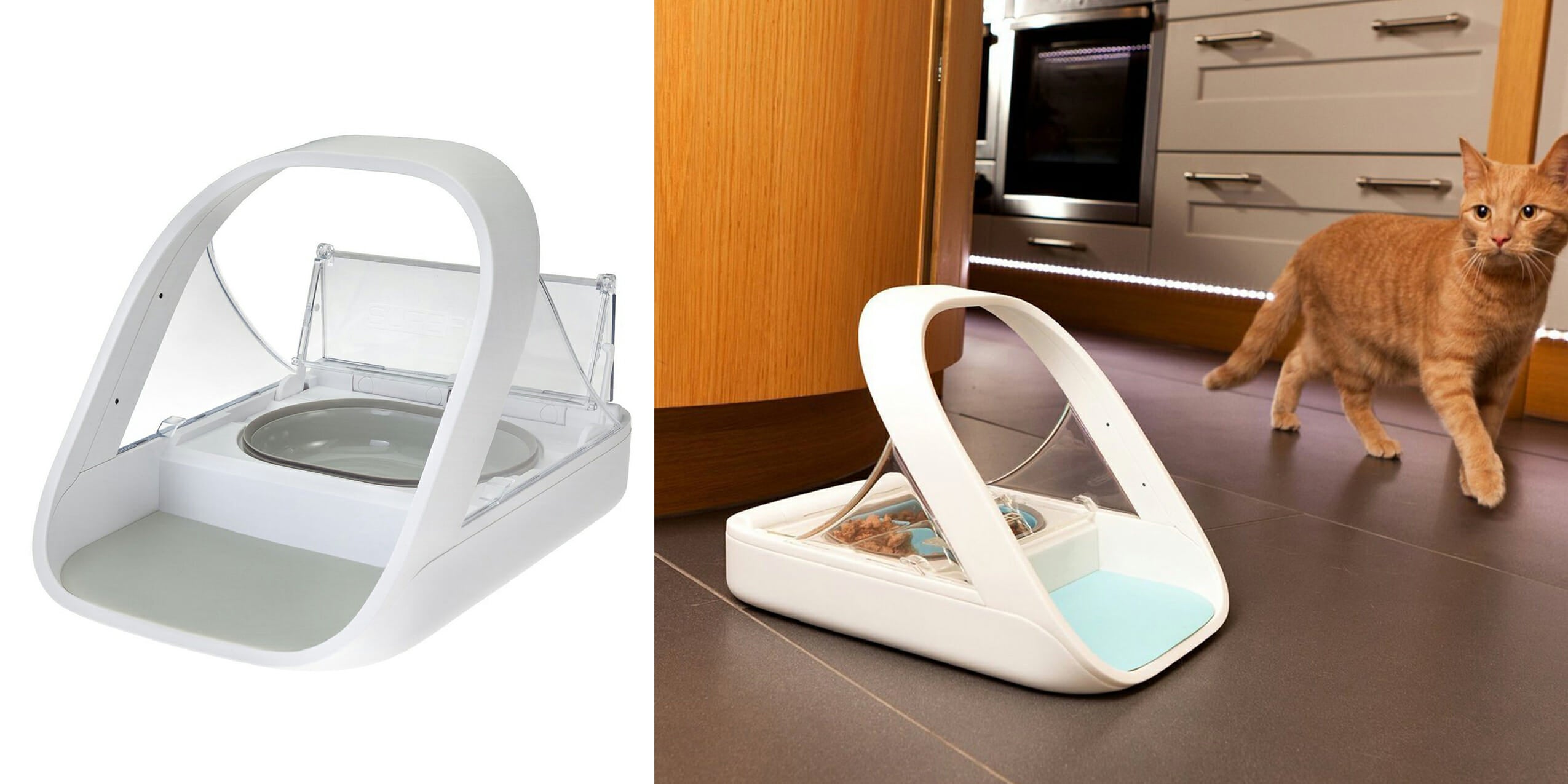 automatic pet feeders
