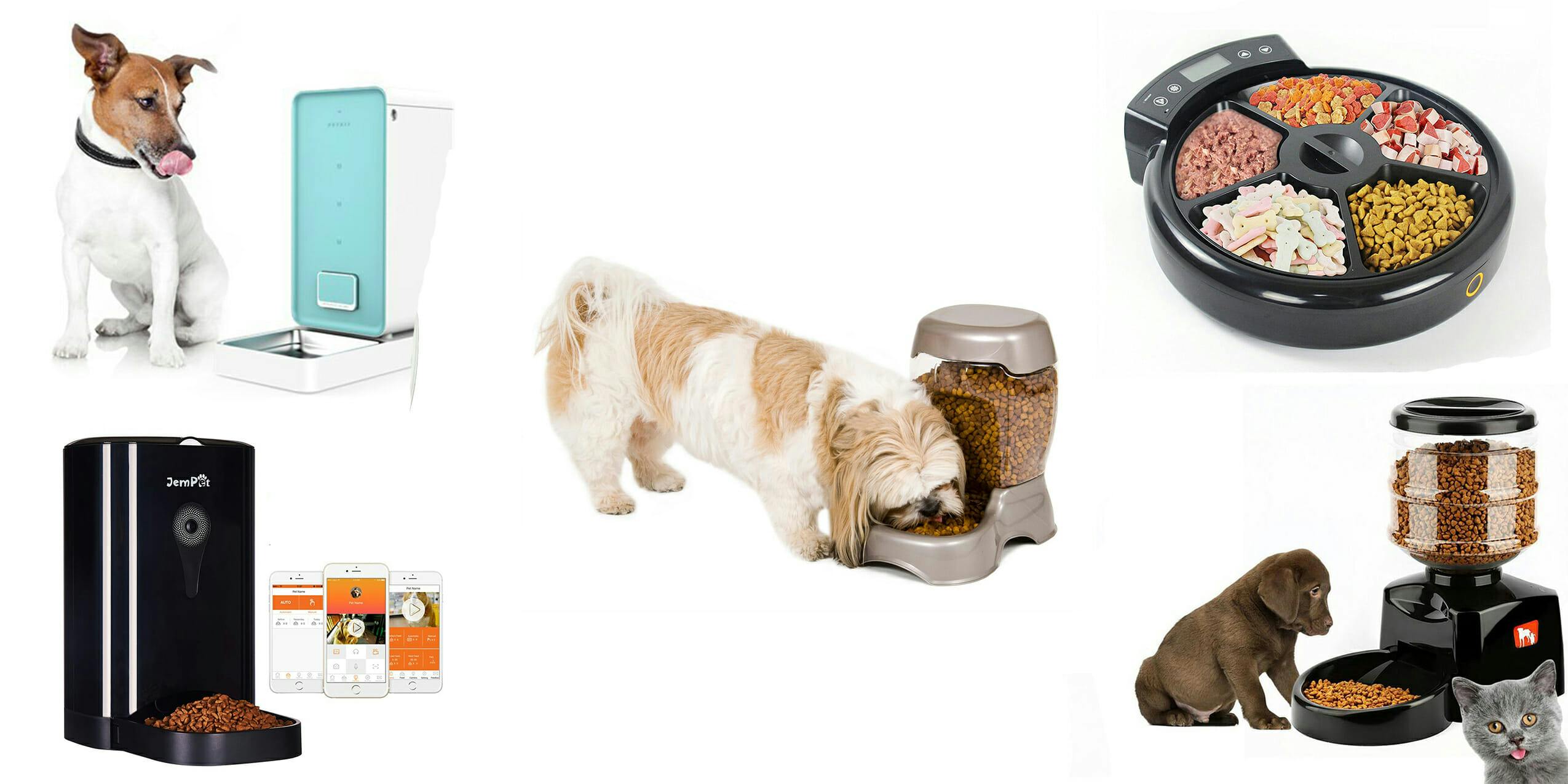 The best automatic pet feeders for your hungry pals