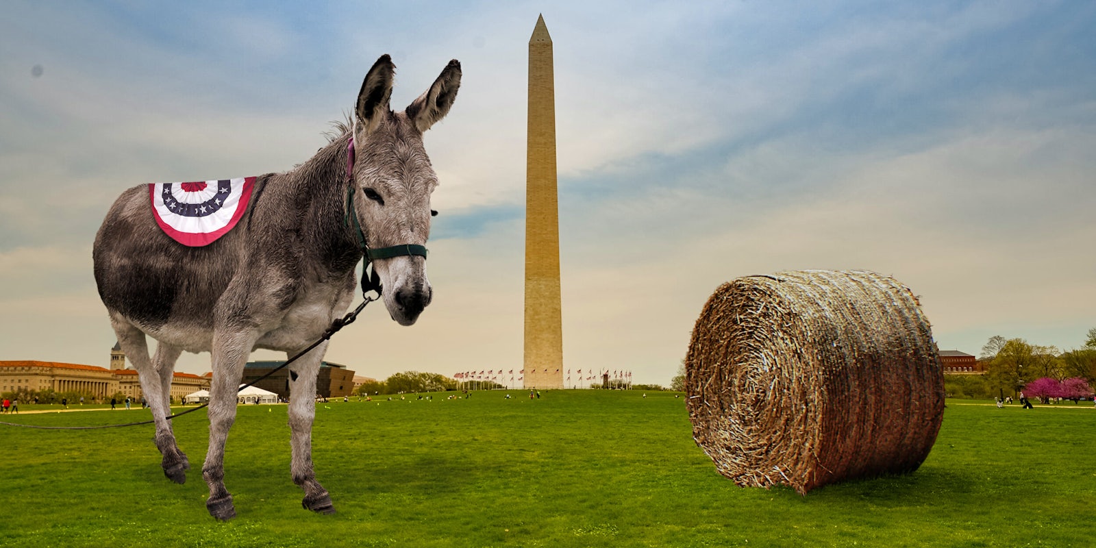 donkey at the national mall