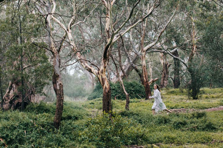 Picnic at Hanging Rock