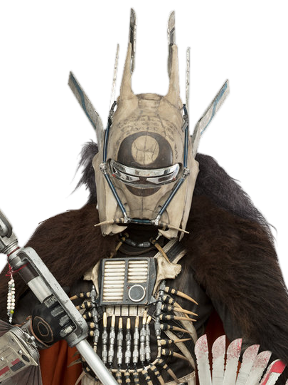 enfys nest costume