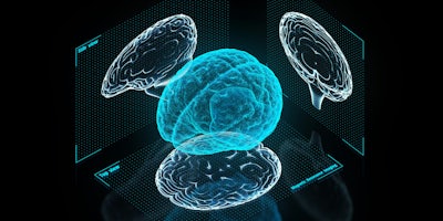 3D holographic brain