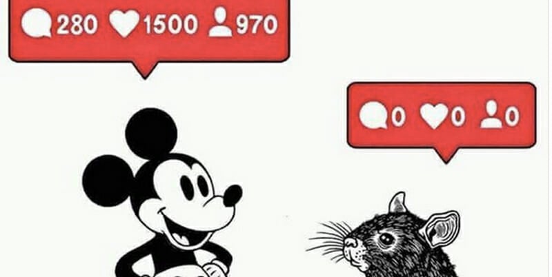 Homepage article image