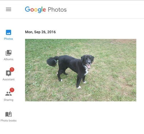 what is google photos