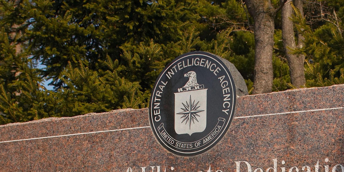 A former CIA employee who authorities say leaked a trove of data to WikiLeaks that came to be known as 'Vault 7' has been indicted by a federal grand jury. 