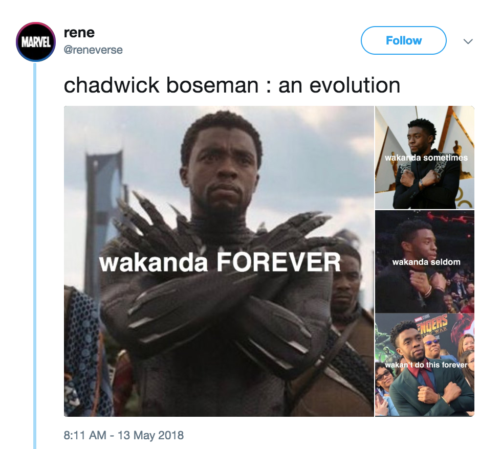 Nigger Man Black Panther Meme