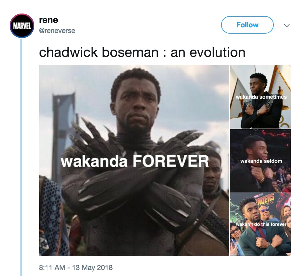 The Best Black Panther Memes From Wakanda Forever to Hey Auntie