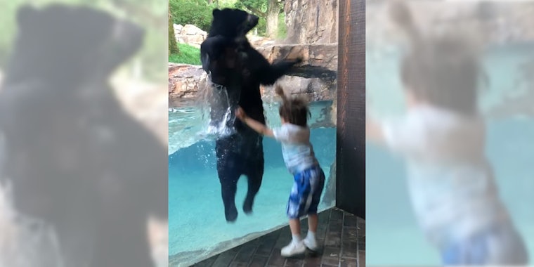 boy jumping with bear at the Nashville Zoo