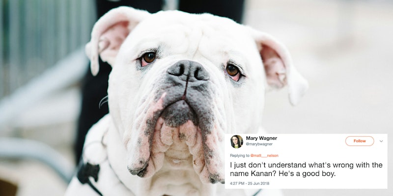 @dog_rates accused of white-washing pet names.