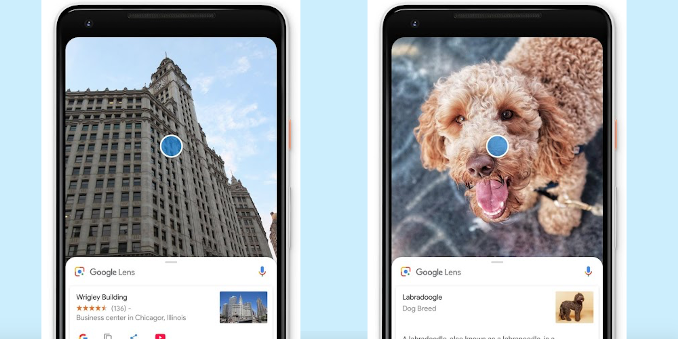 Google Lens app on Android