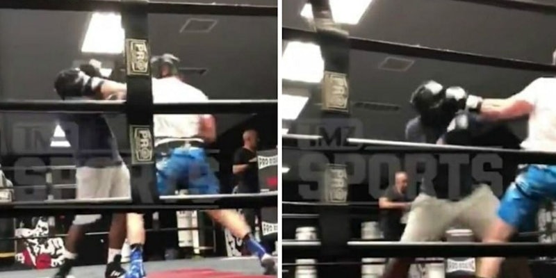 Logan Paul sparring knockdown KSI fight