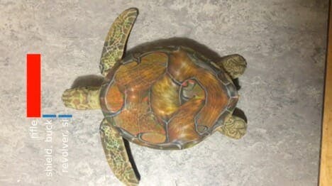 turtle - physical objects that fool neural nets