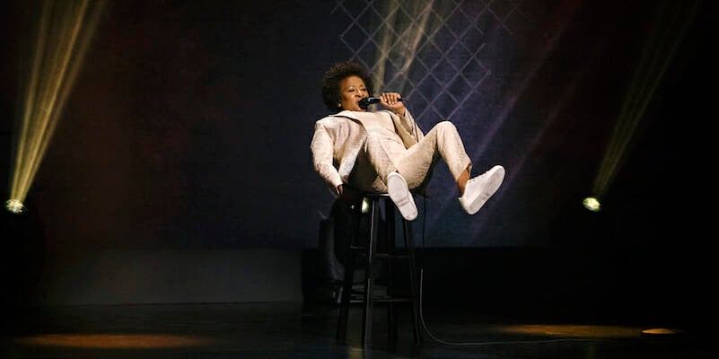 black comedy on netflix - wanda sykes not normal