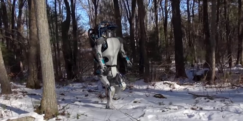 boston dynamics robots