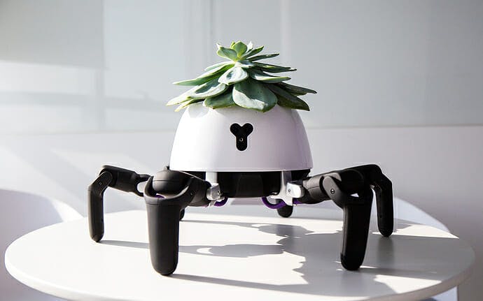 This six-legged robot designed to keep plants alive was created by Vincross founder Sun Tianqi.