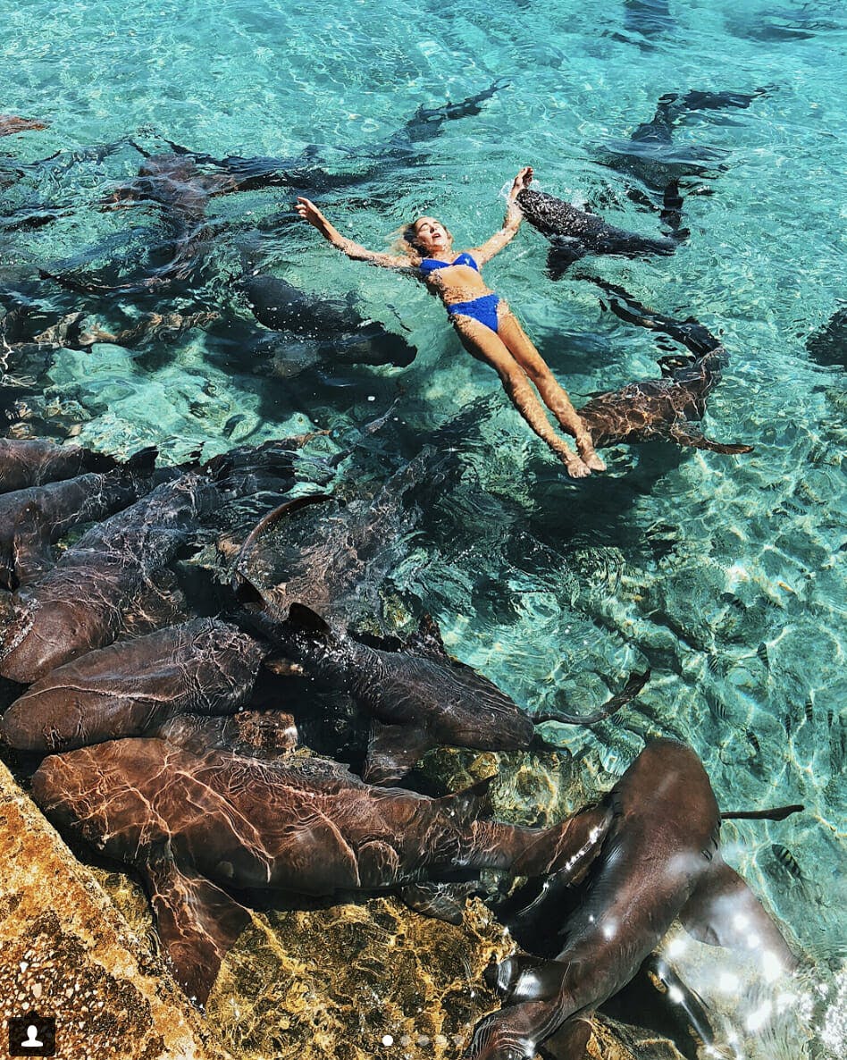 Instagram model Katarina Zarutskie was bit by a shark while posing for a photo.