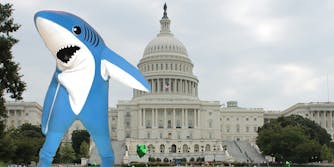 left shark at the US Capitol