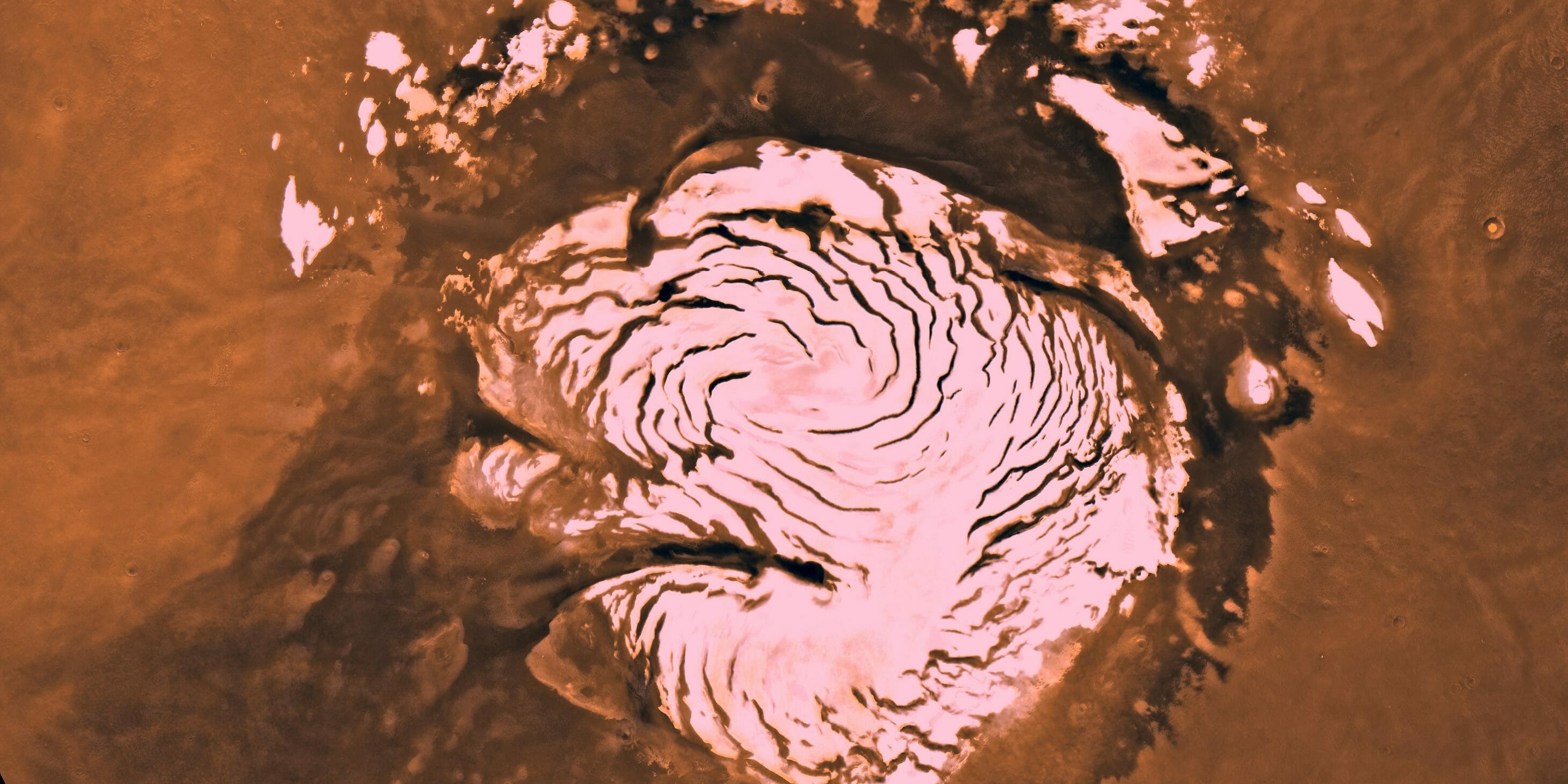 Homepage article image