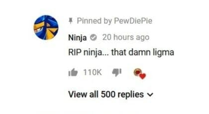 Ninja fans won't stop joking about Ligma, a fake disease hoax