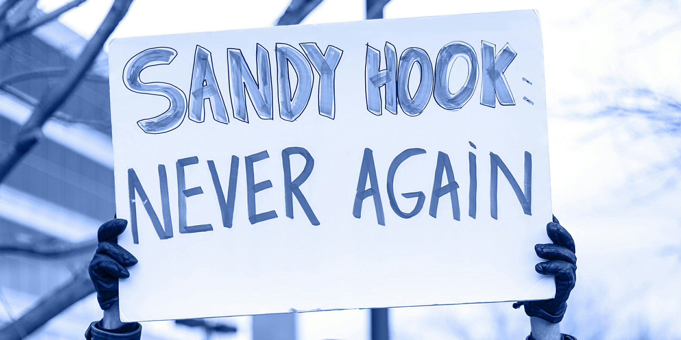 sandy hook never again protest sign