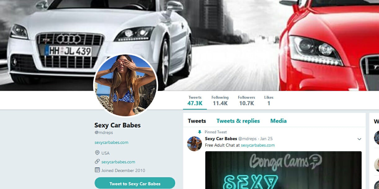 The RNC website mistakenly linked out to a Twitter account promoting pornography instead of the Maryland Republican Party for most of the year.