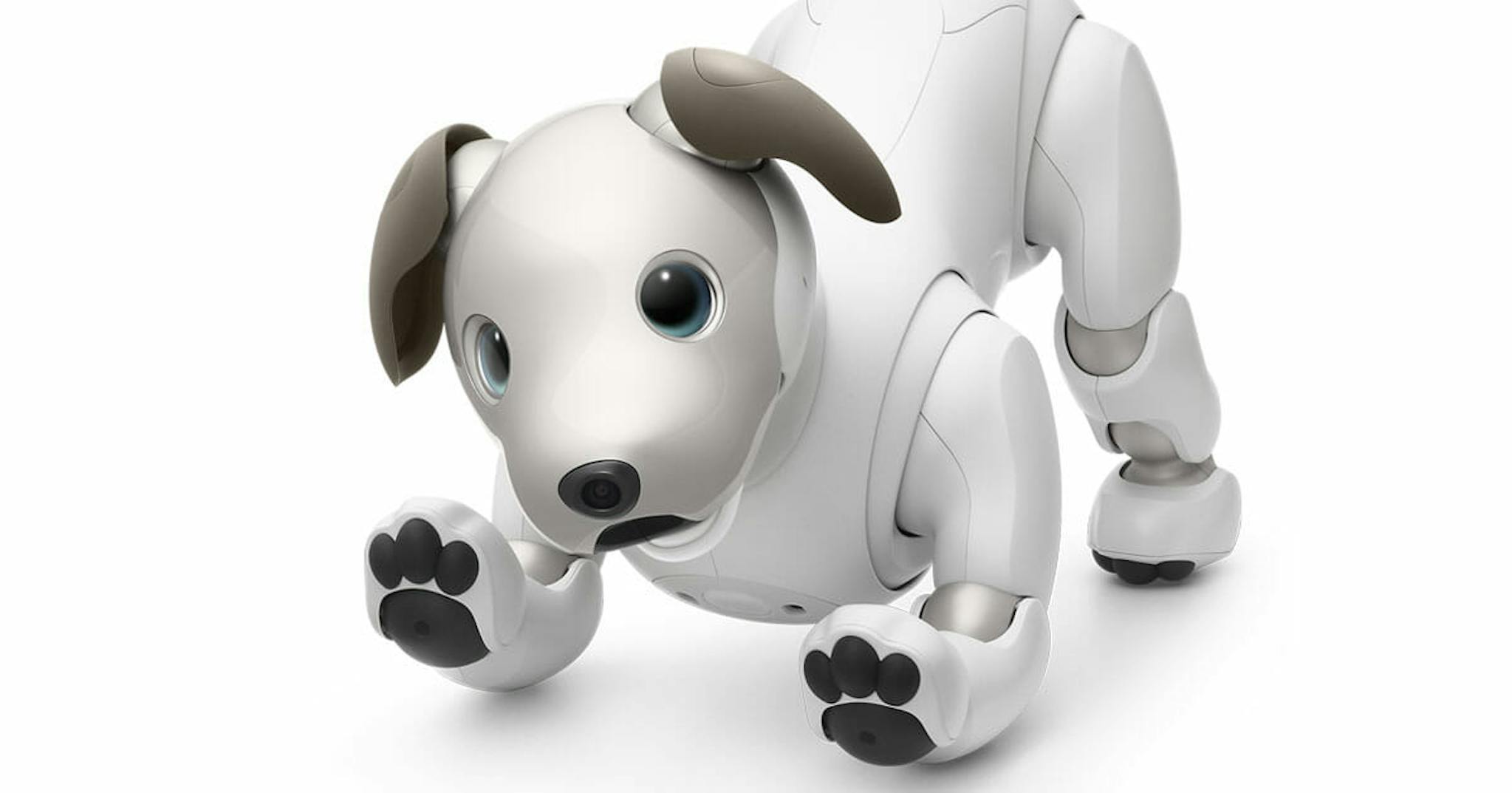 Aibo, the World's Cutest Robotic Dog by Sony, Makes U.S. Debut at 2,899