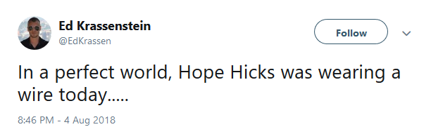 Former White House staffer Hope Hicks was spotted boarding Air Force One over the weekend and the internet has a lot of theories why she was there.